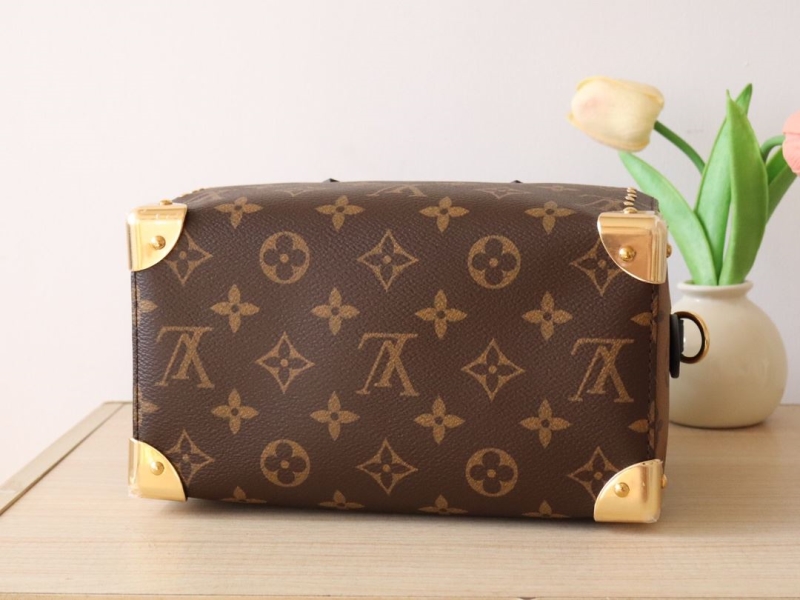 LV Speedy Bags